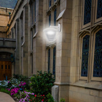 Садово-парковый светильник Apeyron светодиодный, настенный 8Вт, 4-х гранный, 720Лм, 6500К, поликарбонат 11-179