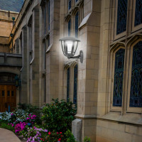 Садово-парковый светильник Apeyron светодиодный, настенный вверх, 8Вт, 6-ти гранный, 720Лм, 6500К, 11-190