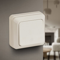 Одноклавишный выключатель Intro Quadro 2-101-02 10А-250В, IP20, открытая установка, слоновая кость, Б0053735