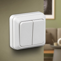 Двухклавишный выключатель Intro Quadro 2-104-01 10А-250В, IP20, открытая установка, белый, Б0053757