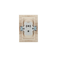 Розетка Intro Plano без заземления двойная 2x2P, 16А-250В, IP20, СУ, Plano, шампань, Б0053909