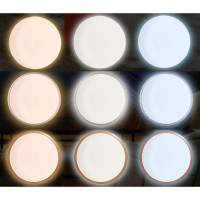 Светильник Фарлайт СПО Луна 30Вт 2700К/4000К/6500К IP54 белый FAR002053