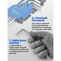 Набор 6-гранных Г-образных ключей Forsage длинных 10  предметовв пластиковом держателе F-5102L(6585)