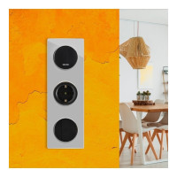 Стеклянная рамка OneKeyElectro Garda (для серии Florence) 3 поста, вертикальная, цвет серый 2234949