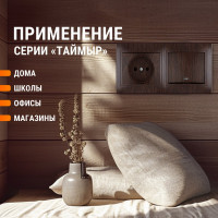 2-х постовая горизонтальная рамка TDM ELECTRIC  "ЭКО" бук "Таймыр" SQ1814-0326