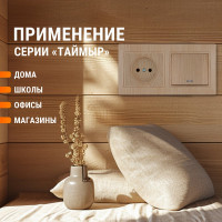 2-х постовая горизонтальная рамка TDM ELECTRIC "ЭКО" сосна "Таймыр" SQ1814-0226