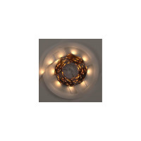 Лента светодиодная General Lighting Systems GLS-5050-30-7.2-12-IP20-PRO-3-5-KIT, 5 метров с адаптером, 7,2Вт/м, 12В, SMD5050, 10мм, 30 диодов/м, 12 Лм/чип, IP20, 3000К - теплый белый 501622