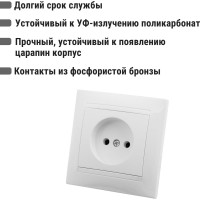 Розетка TDM ELECTRIC 2П 10А 250В белая Лама SQ1815-0022
