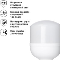 Светодиодная лампа TDM ELECTRIC T-40 Вт-230 В-6500 К–E27 114x183 мм НАРОДНАЯ SQ0340-1645
