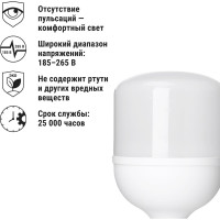 Светодиодная лампа TDM T-60 Вт-230 В-4000 К–E27 135x225 мм НАРОДНАЯ SQ0340-1648