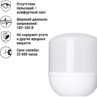 Светодиодная лампа TDM T-60 Вт-230 В-6500 К–E27 135x225 мм НАРОДНАЯ SQ0340-1649