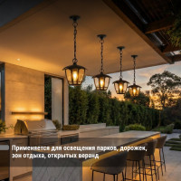 Светильник уличный TDM ELECTRIC "СИТИ" шестигранник подвесной черный SQ0330-1308