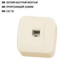 Розетка компьютерная TDM ELECTRIC слоновая кость (RJ-45) открытой установки IP20, серия "Дача" Народная SQ1824-0024