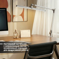 Светодиодный светильник TDM ELECTRIC струбцина СН-60, 2 колена, 220 В, 14Вт, 5000 К, серебяный-черный, SQ0337-0165