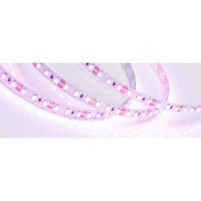 Светодиодная лента Arlight RT-A120-8mm 12V Pink 015897(2)