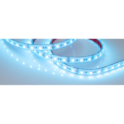 Герметичная светодиодная лента Arlight RTW-PS-B60-12mm 12V RGB 14.4 Вт/м 021402(2)