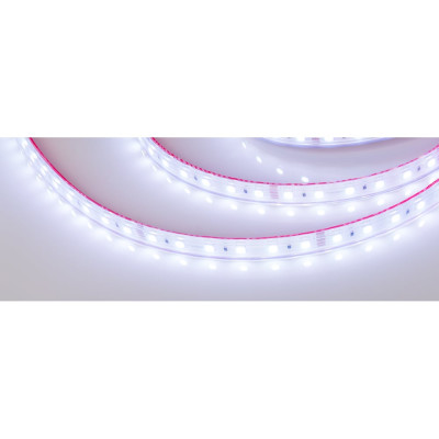 Герметичная светодиодная лента Arlight RTW-PS-B60-12mm 24V RGB 14.4 Вт/м 021400(2)