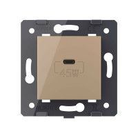 Розетка USB type C LIVOLO с блоком питания 45W, цвет золотой (механизм) VL-FCUC-2AP
