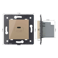 Розетка USB type C LIVOLO с блоком питания 45W, цвет золотой (механизм) VL-FCUC-2AP