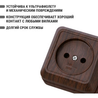 Розетка TDM ELECTRIC 2П открытой установки IP20 10А 250В (керамика) бук "Ладога" SQ1801-0310