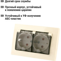 Двойная розетка TDM ELECTRIC 2П+З с защитными шторками и прозрачной крышкой 16А 250В IP44 слоновая кость Таймыр SQ1814-0177