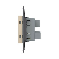 Электрическая универсальная розетка LIVOLO с заземлением защитными шторками 16A, цвет золотой VL-FCT22 16A-2AP