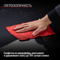 Салфетка SKYWAY набор микрофибра 20х20 см, прямоугольники, 4 шт. S00902013