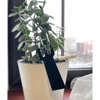 Комбинированный рыхлитель с деревянной ручкой Агростройлидер РП-2 САД-11.18