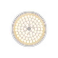 Потолочный светильник Freya 24 Вт FR10012CL-L24W