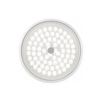 Потолочный светильник Freya 24 Вт FR10012CL-L24W