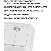 Комбинированный блок TDM ELECTRIC 2-клавишный выключатель с/п 10А + розетка 2П 10А 250В БКВР IP20 белый "Ладога" SQ1801-0108