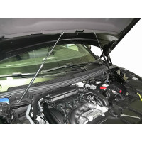 Упоры капота 2 шт для Peugeot 3008/5008, 2020- Arbori ARBORI.HD.032102