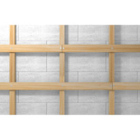 Дюбель-гвоздь Fischer N 8x120/80 S, 50 шт. 50359