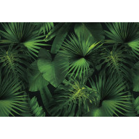 Фотообои ООО Ортограф Jungle green 3.93x2.7 м OF_34477