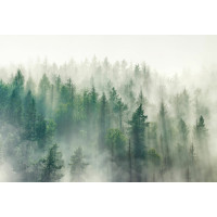 Фотообои ООО Ортограф Туманный лес 3.93x2.7 м OF_34456