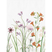 Фреска ООО Ортограф Wildflowers 2x2.7 м FX_34079