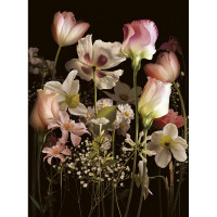 Фреска ООО Ортограф Night bouquet sepia 2x2.7 м FX_31633