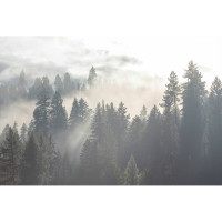 Фреска ООО Ортограф Дымка над лесом 4x2.7 м FX_34590