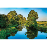 Фреска ООО Ортограф Летний пейзаж 4x2.7 м FX_34611