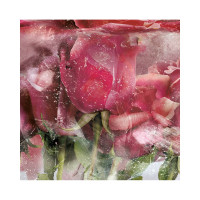 Фотообои ООО Ортограф Ice roses pink 2.99x3 м OF_31662