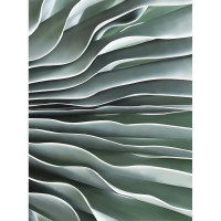 Фотообои ООО Ортограф Макро тропики 2x2.7 м OF_33258