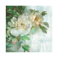 Фотообои ООО Ортограф Wild rose 2.99x3 м OF_31644