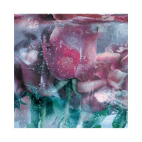 Фотообои ООО Ортограф Ice roses blue 2.99x3 м OF_31663