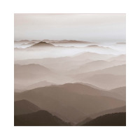 Фотообои ООО Ортограф Над лесом 2.99x3 м OF_34065