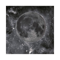 Фотообои ООО Ортограф Satellite dark 2.99x3 м OF_34200