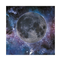 Фотообои ООО Ортограф Satellite 2.99x3 м OF_34199