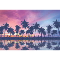 Фотообои ООО Ортограф Пальмы на закате 3.93x2.7 м OF_34261