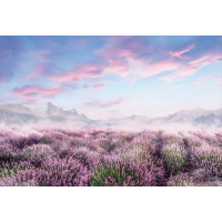 Фотообои ООО Ортограф Лавандовое поле 3.93x2.7 м OF_34264