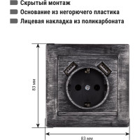 Розетка 2П+З 16А 250В + 2 USB порта 2,1А 5В TDM ELECTRIC старинное серебро, серия "Лама" SQ1815-0669
