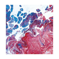 Фотообои ООО Ортограф Colorful 2.49x2.7 м OT-G_33299